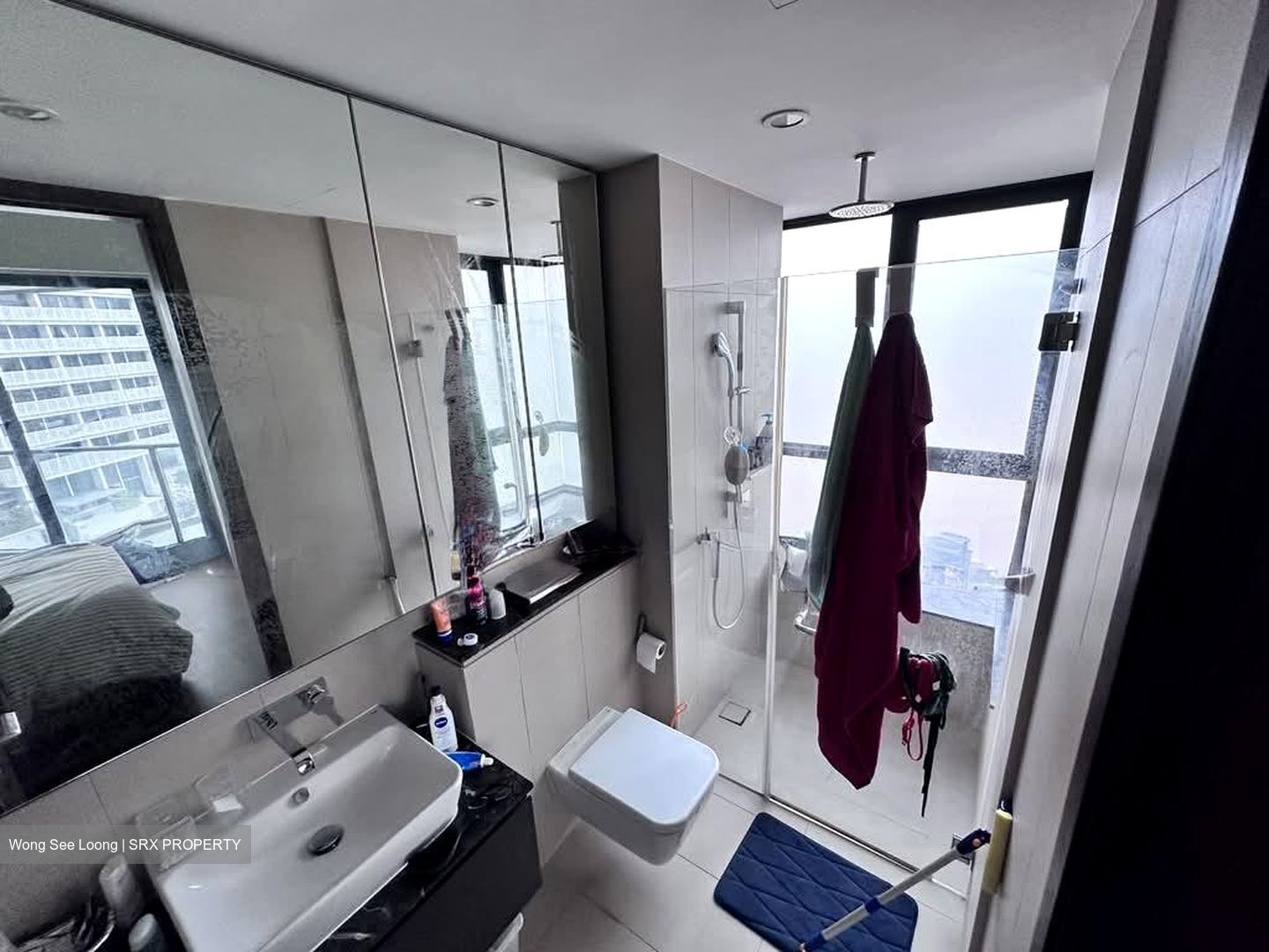 Spottiswoode Residences (D2), Condominium #545544341